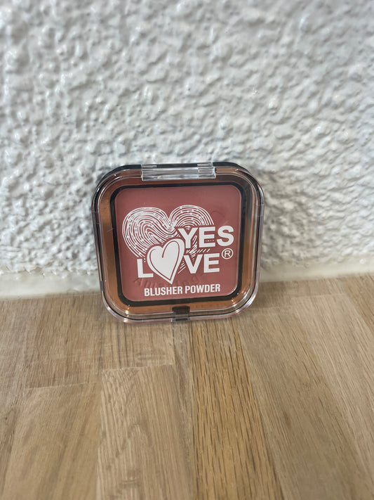 Blush poudre (3)