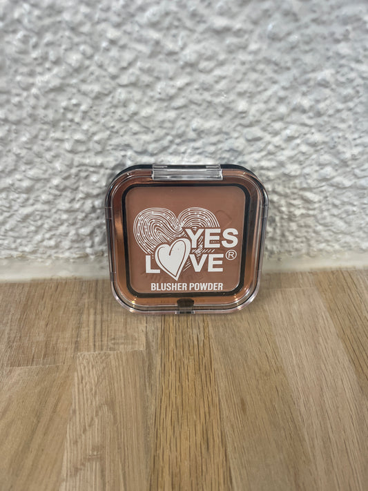 Blush poudre (2)
